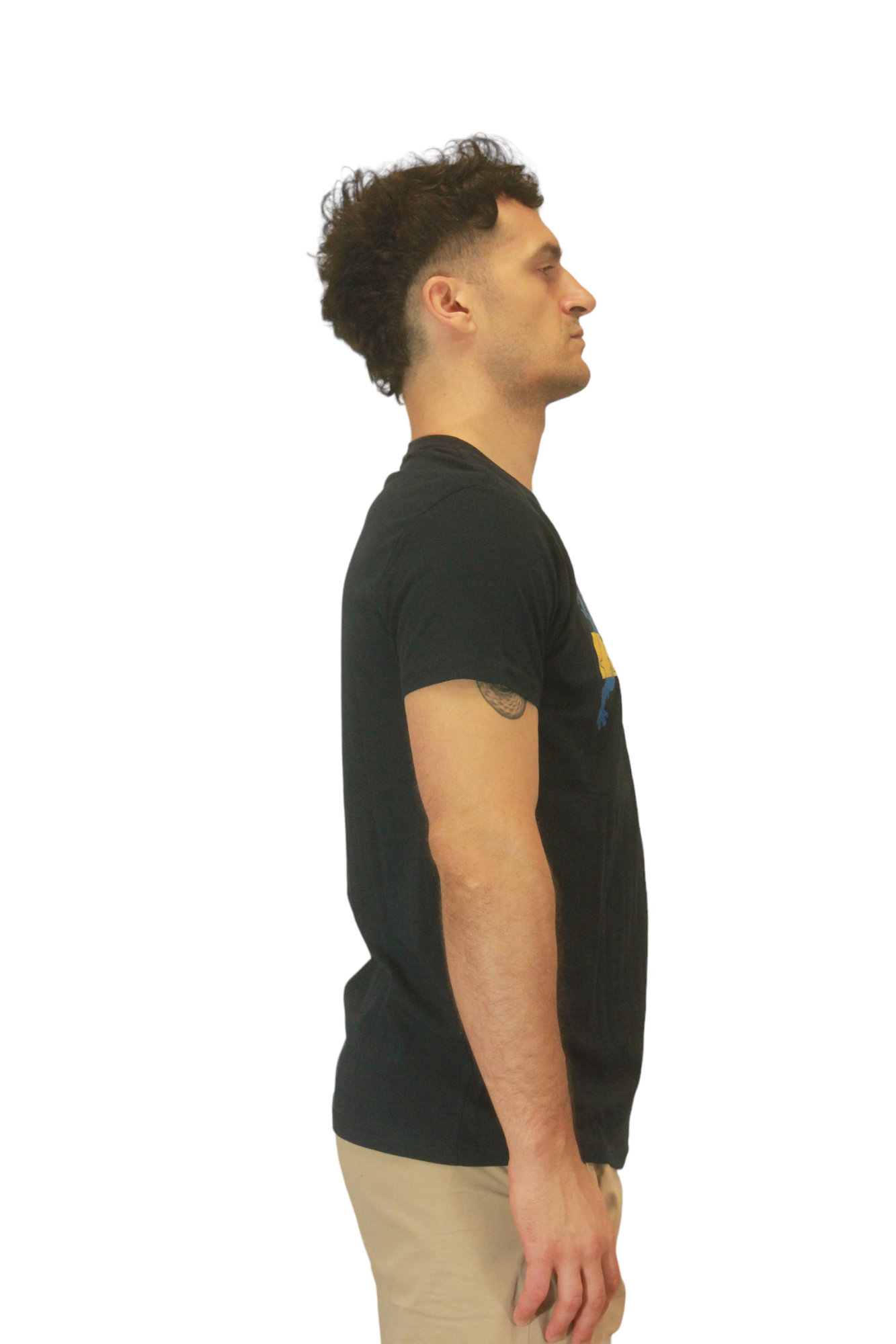 T-Shirt - T shirt mastini croce e scala - immagine 3