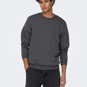 Felpe - Onsceres crew sweat Grey Pinstripe