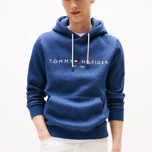 Felpe - Tommy Logo hoody Aegean Sea Heather