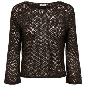 Black crochet lace long-sleeve top with crew neckline, semi-sheer knit.