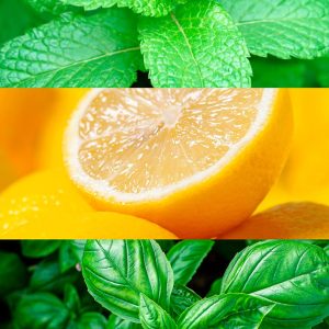 Collage of fresh mint leaves, a sliced lemon, and bright basil leaves against vibrant backgrounds.