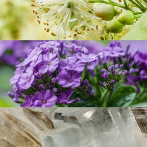 Triptych collage: white flower with yellow stamens, purple lilac blooms, and translucent crystal minerals.