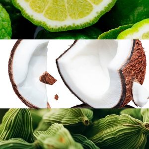 Collage of lime halves, a cracked coconut, and green ribbed vegetables.